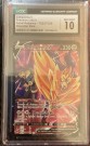Zamazenta v thumbnail