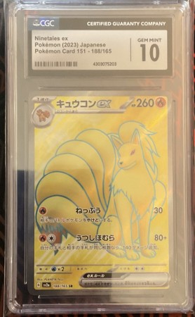 Nintales Ex
