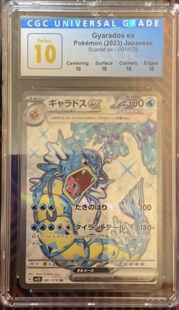 Gyarados Ex Terraform