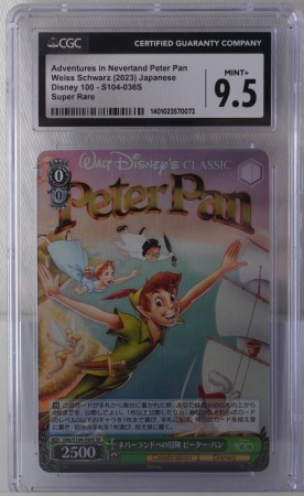 Adventures in Neverland Peter Pan