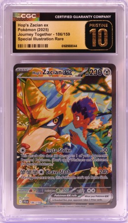 Hop's Zacian Journey Together