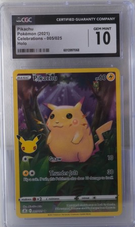 Pikachu Fullart