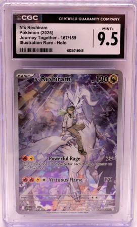 N's Reshiram