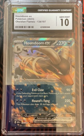Houndoom Ex