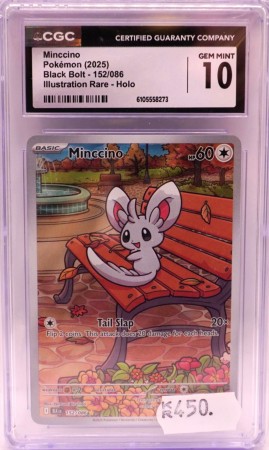 Minccino
