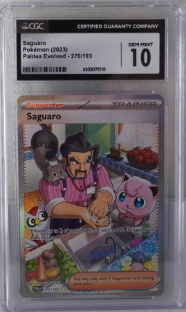 Saguro Alt Art